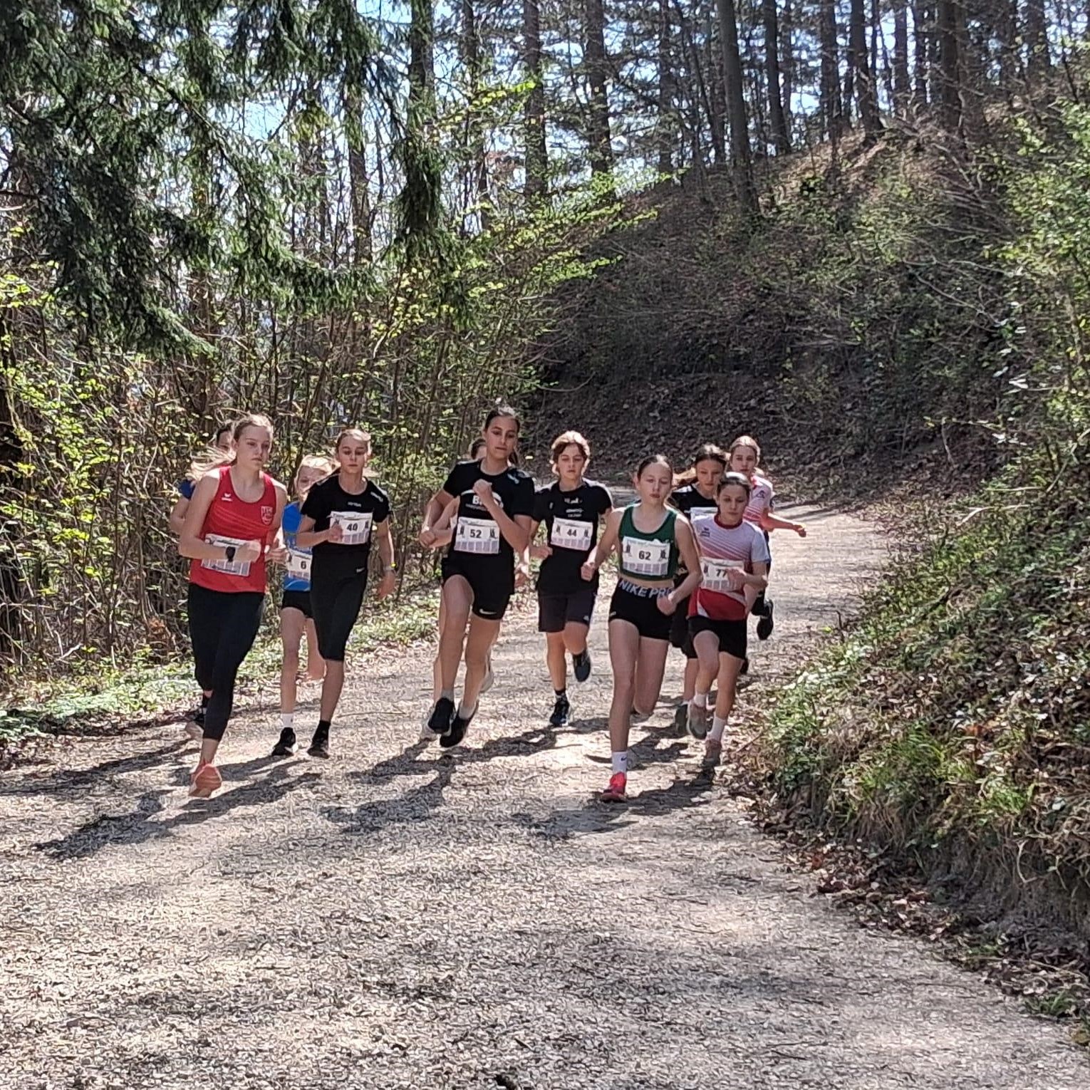 Waldlaufmeisterschaften in Unterlenningen